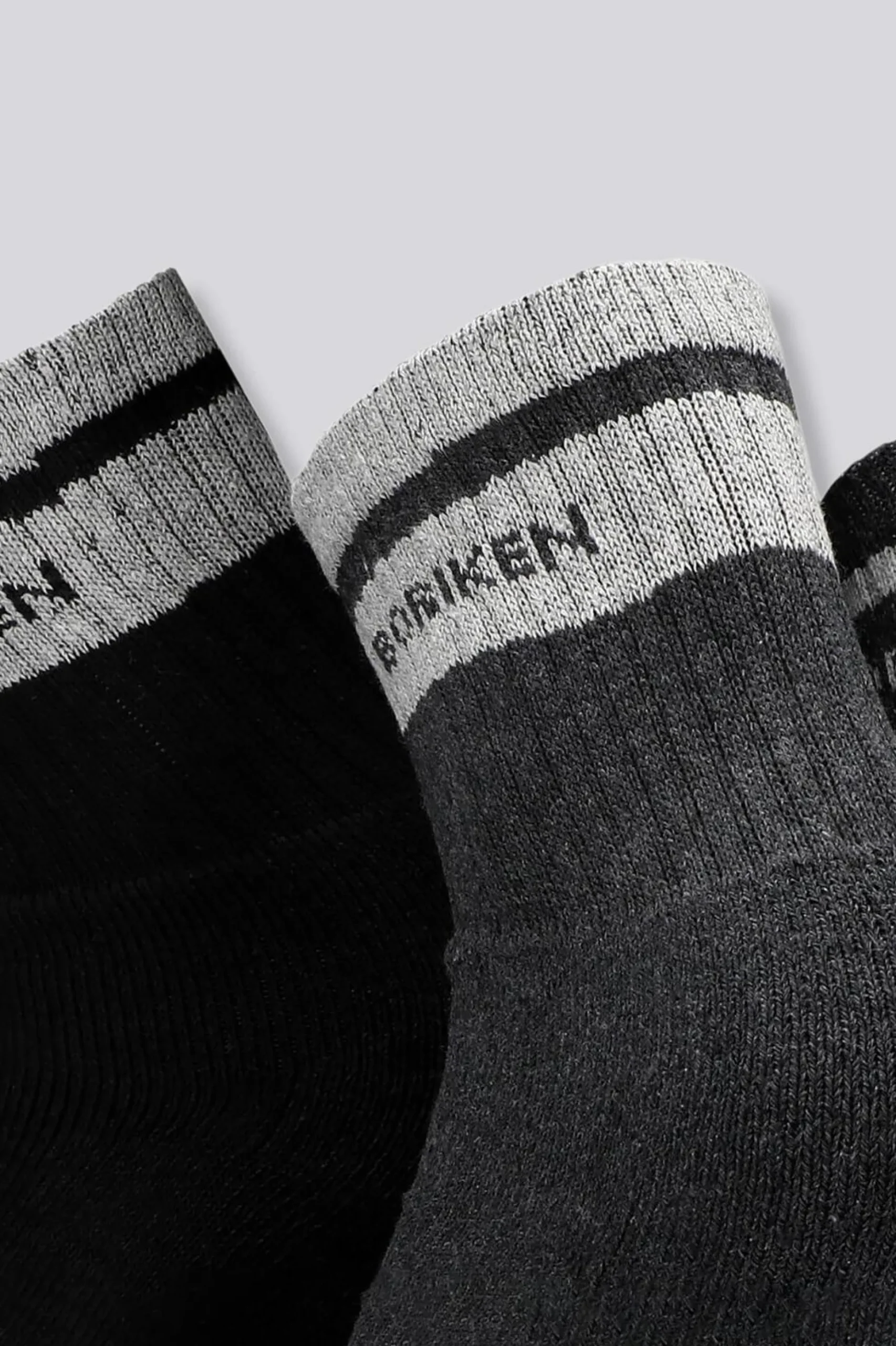 Boriken Sherpa 100