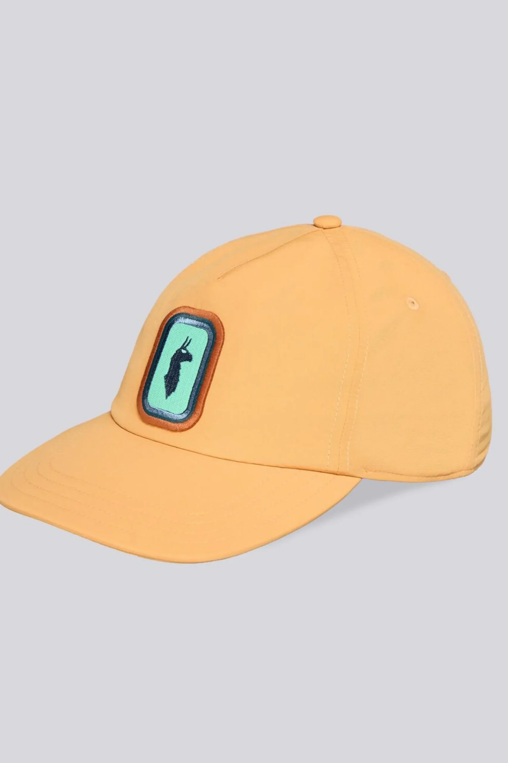 Cotopaxi Radiant Llama