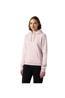 Hoodie Champion