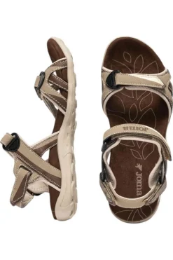 Joma Bolonia