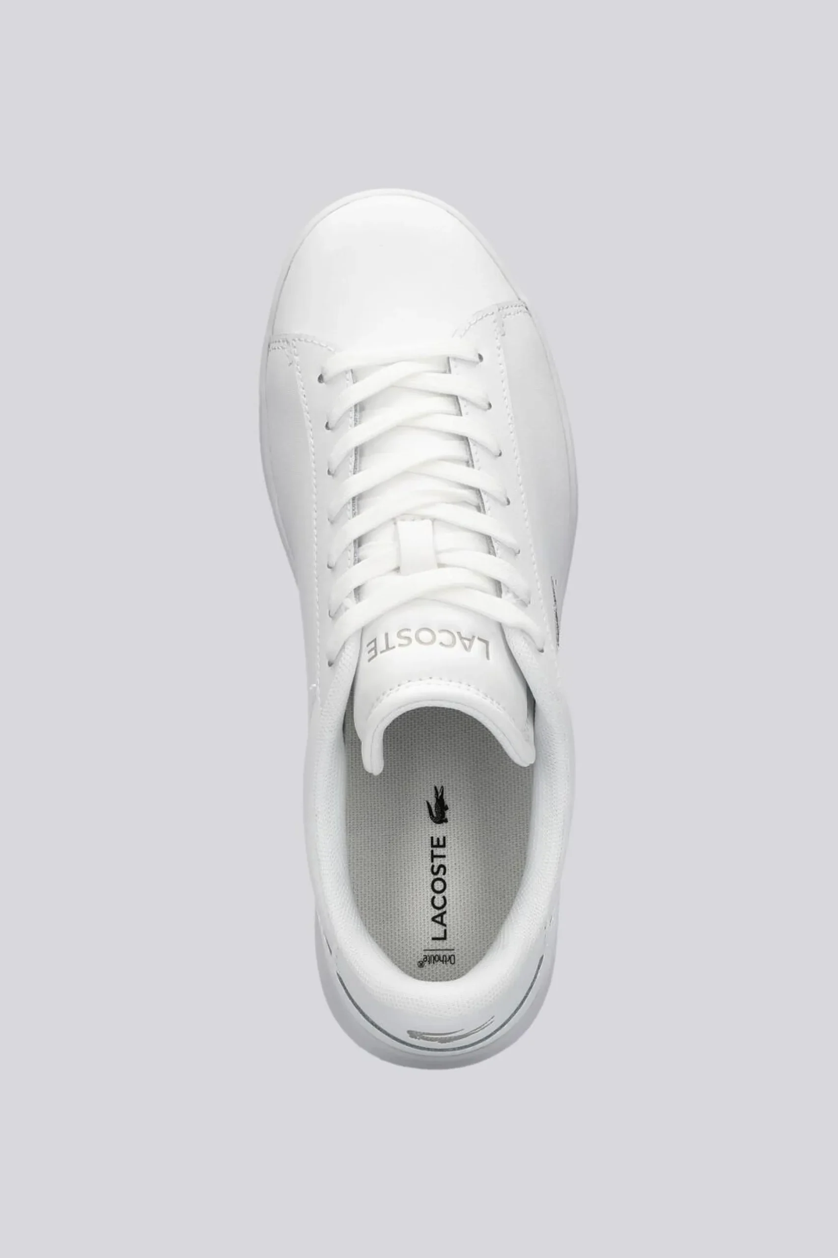 Lacoste Carnaby