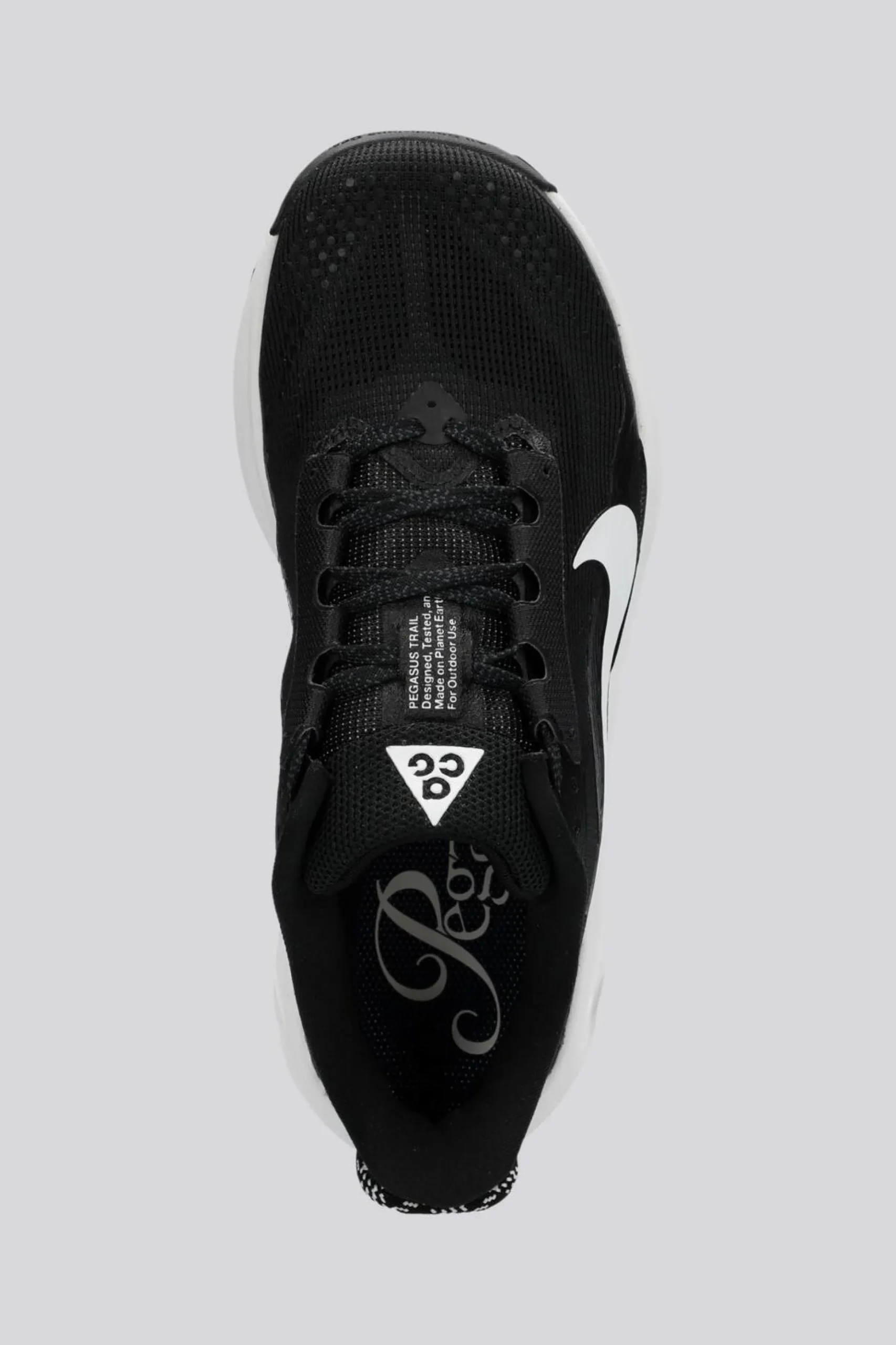 Nike Acg Pegasus Trail