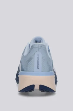 Nike Pegasus 42