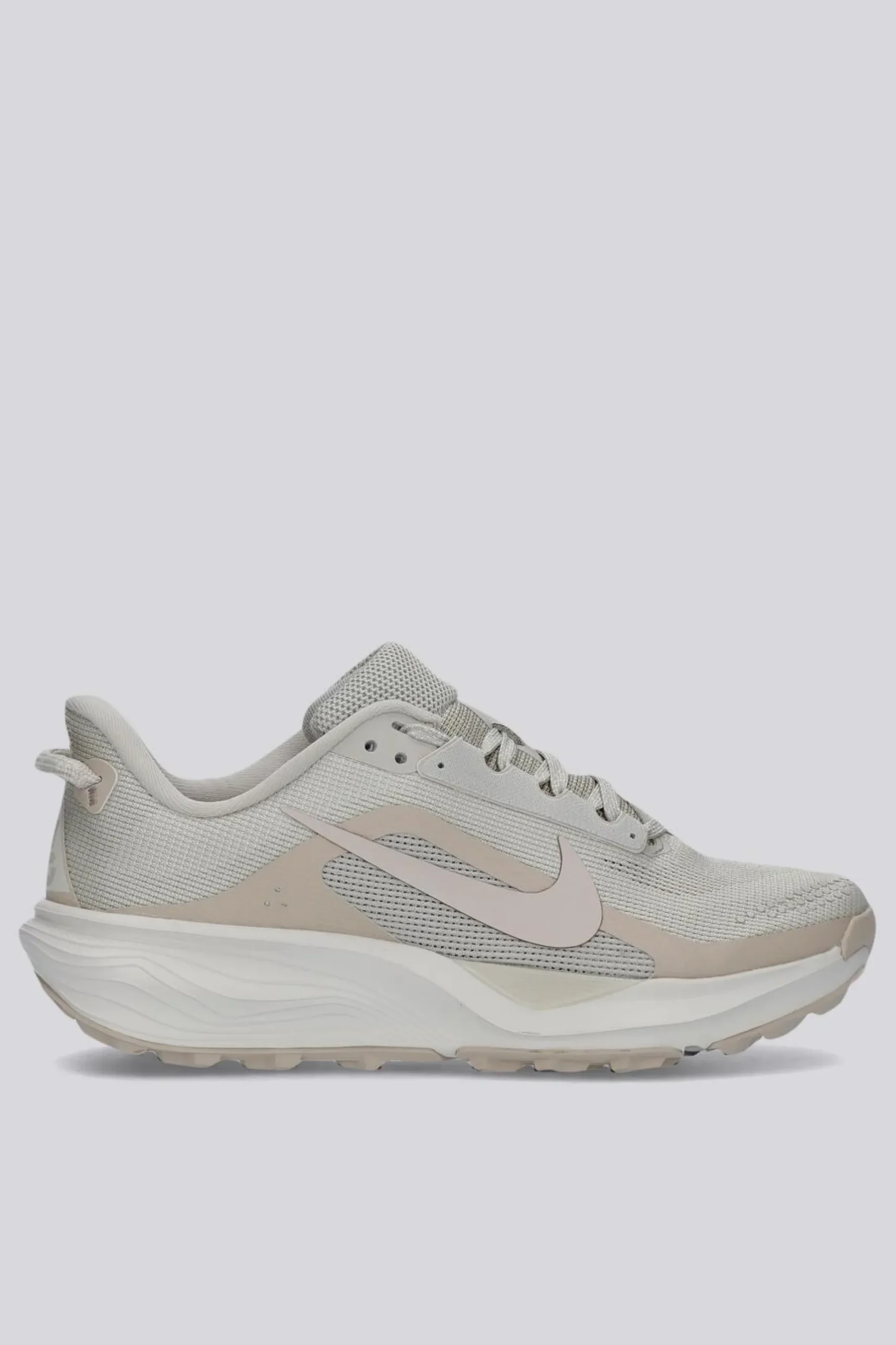 Nike Pegasus
