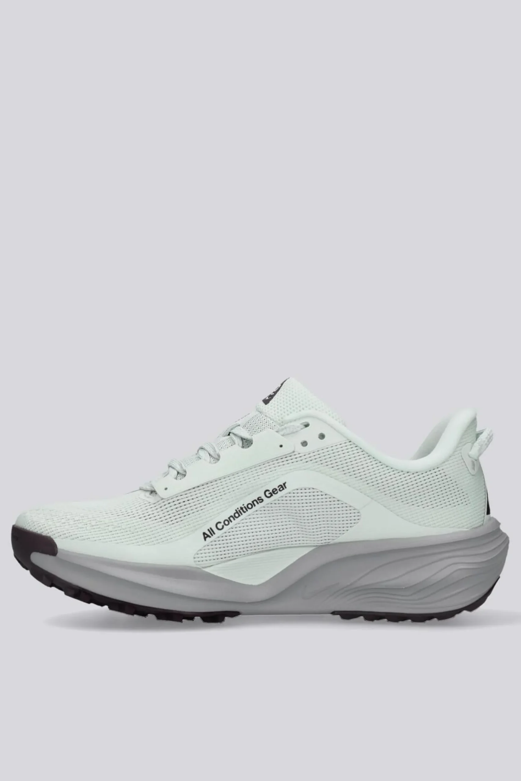 Nike Pegasus