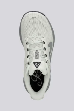Nike Pegasus
