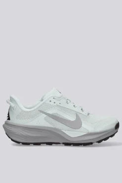 Nike Pegasus