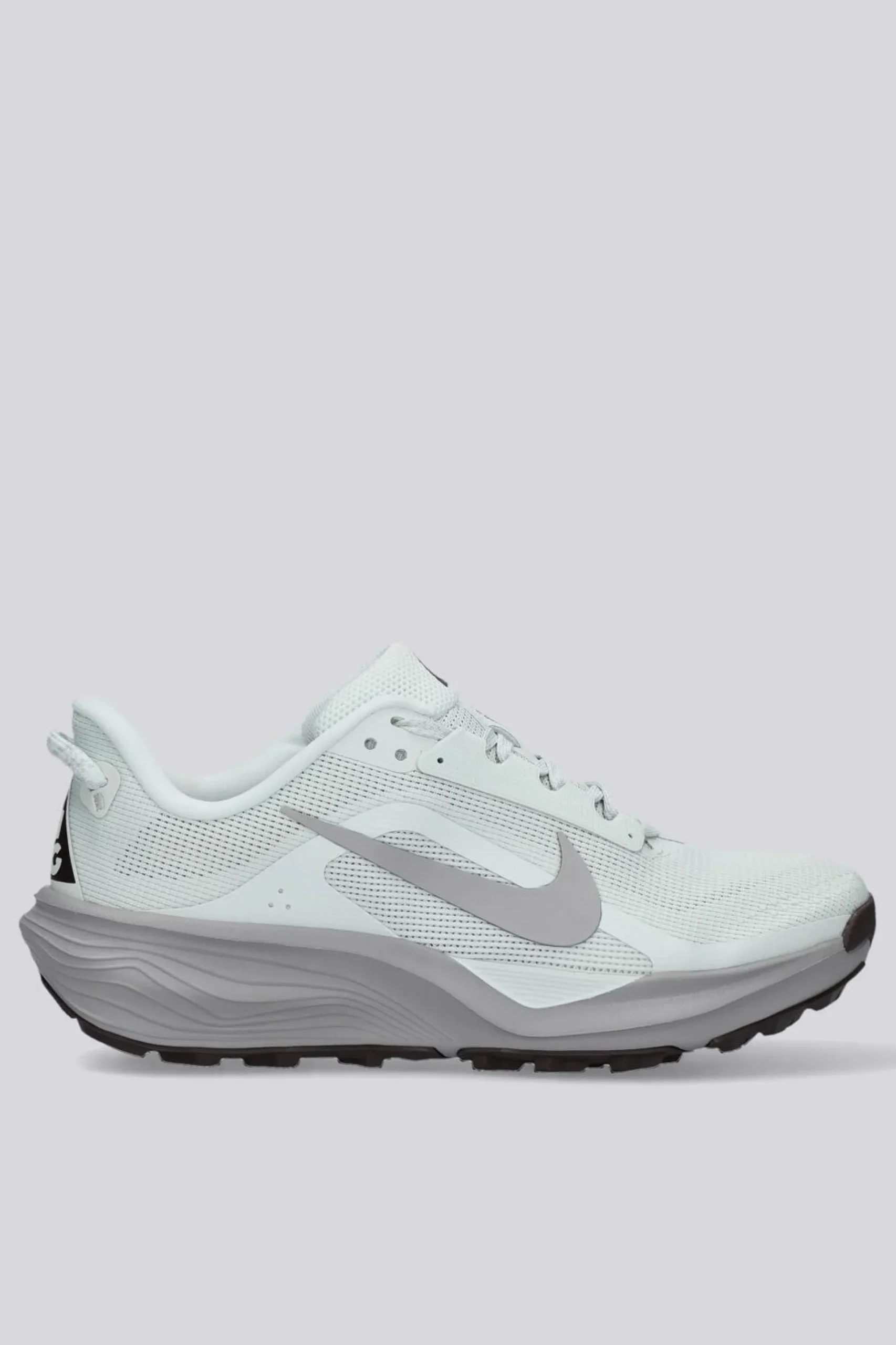 Nike Pegasus