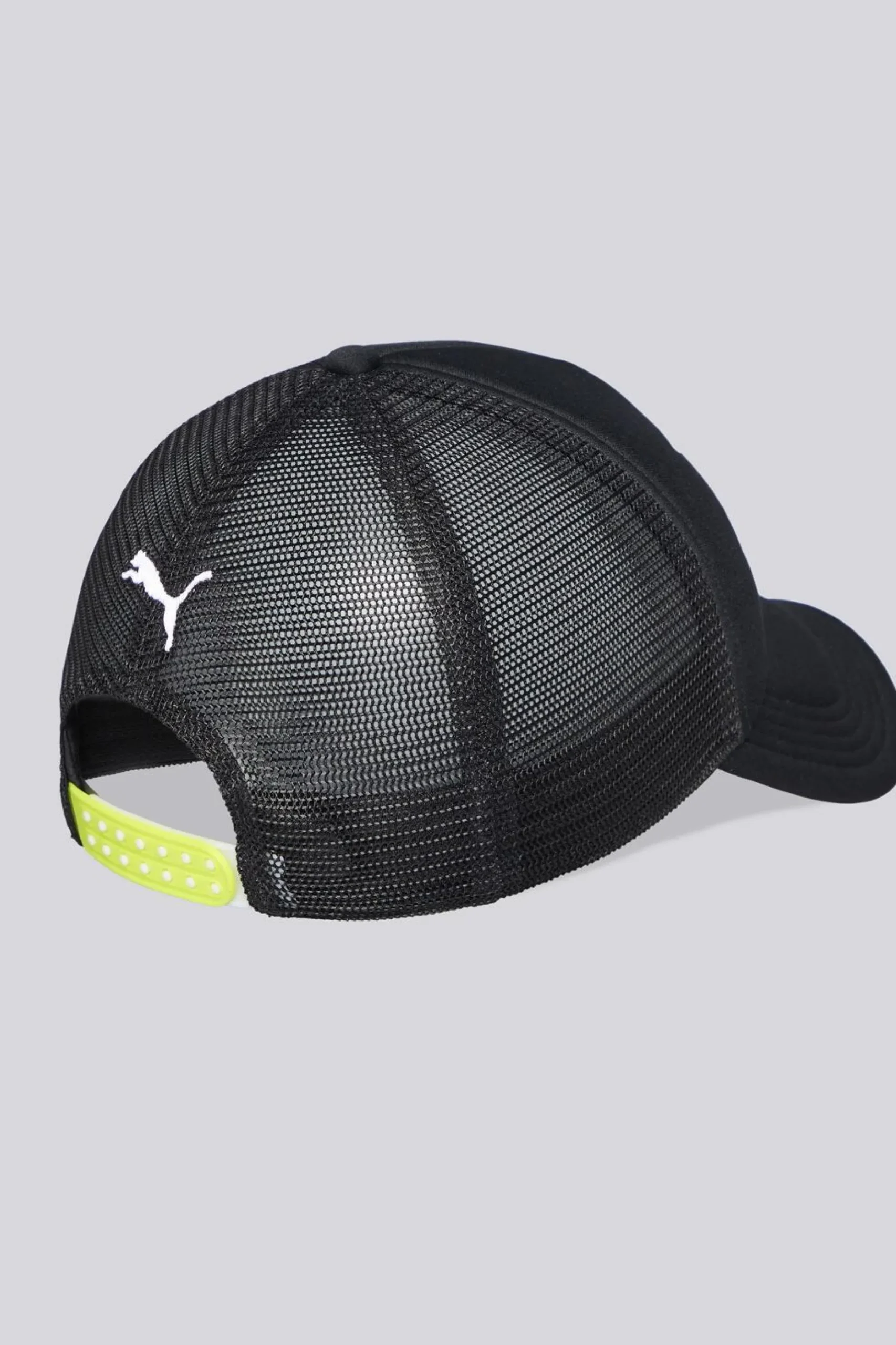 Puma Anf1