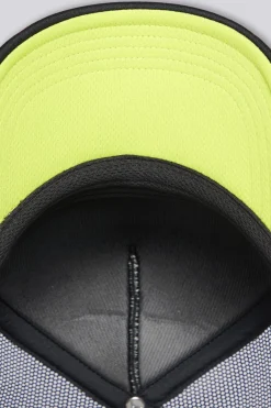 Puma Anf1