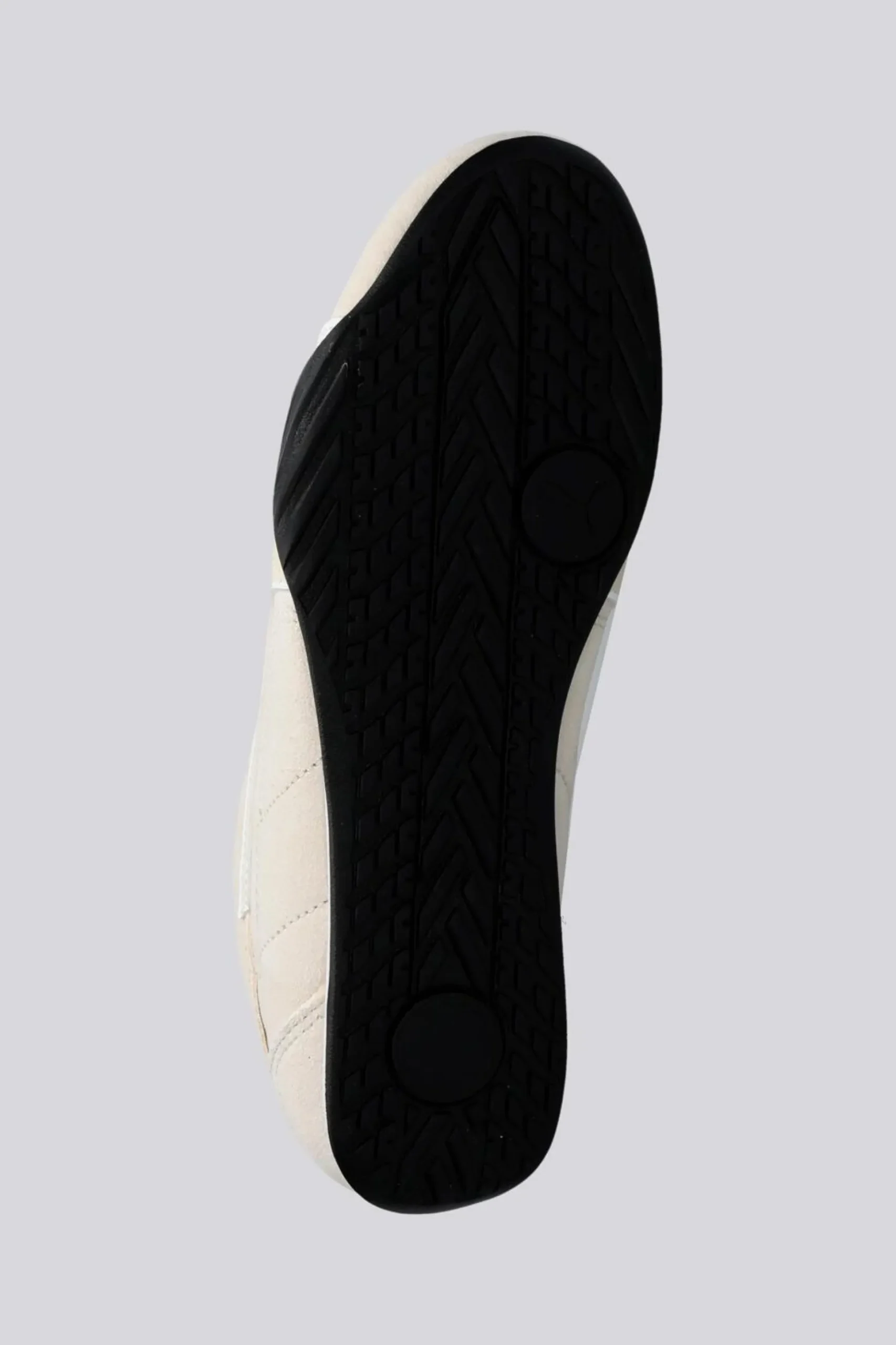 Puma Catch