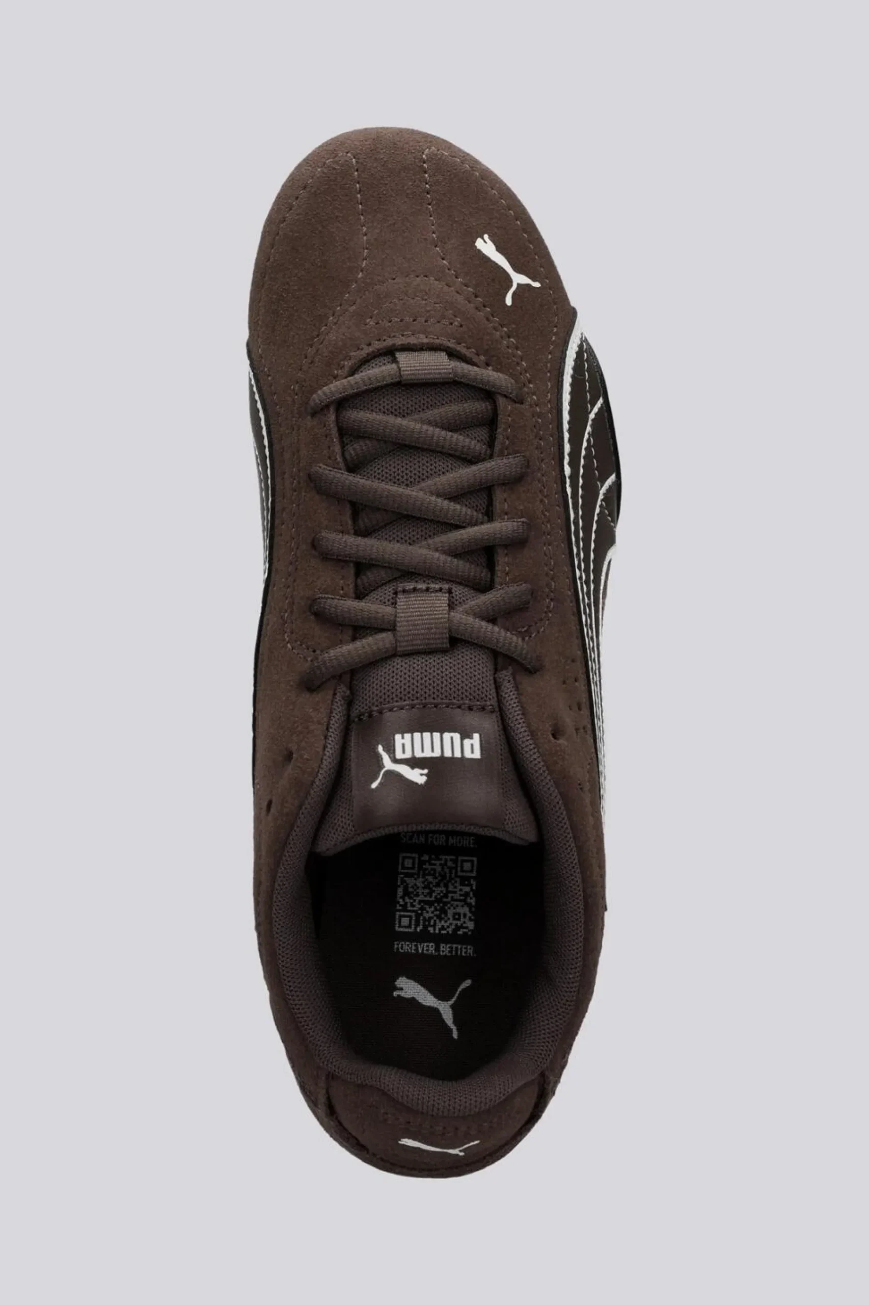 Puma Catch
