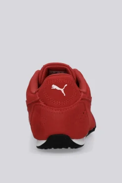 Puma Catch