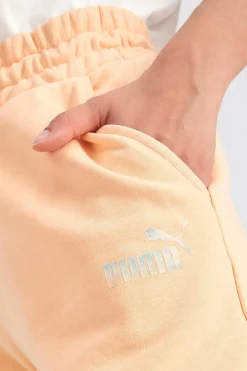 Puma Ess