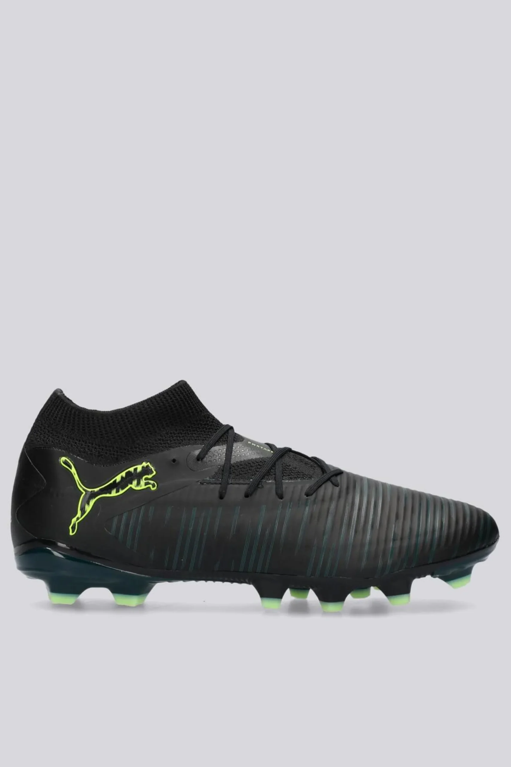 Puma Future Pro Fg / Ag