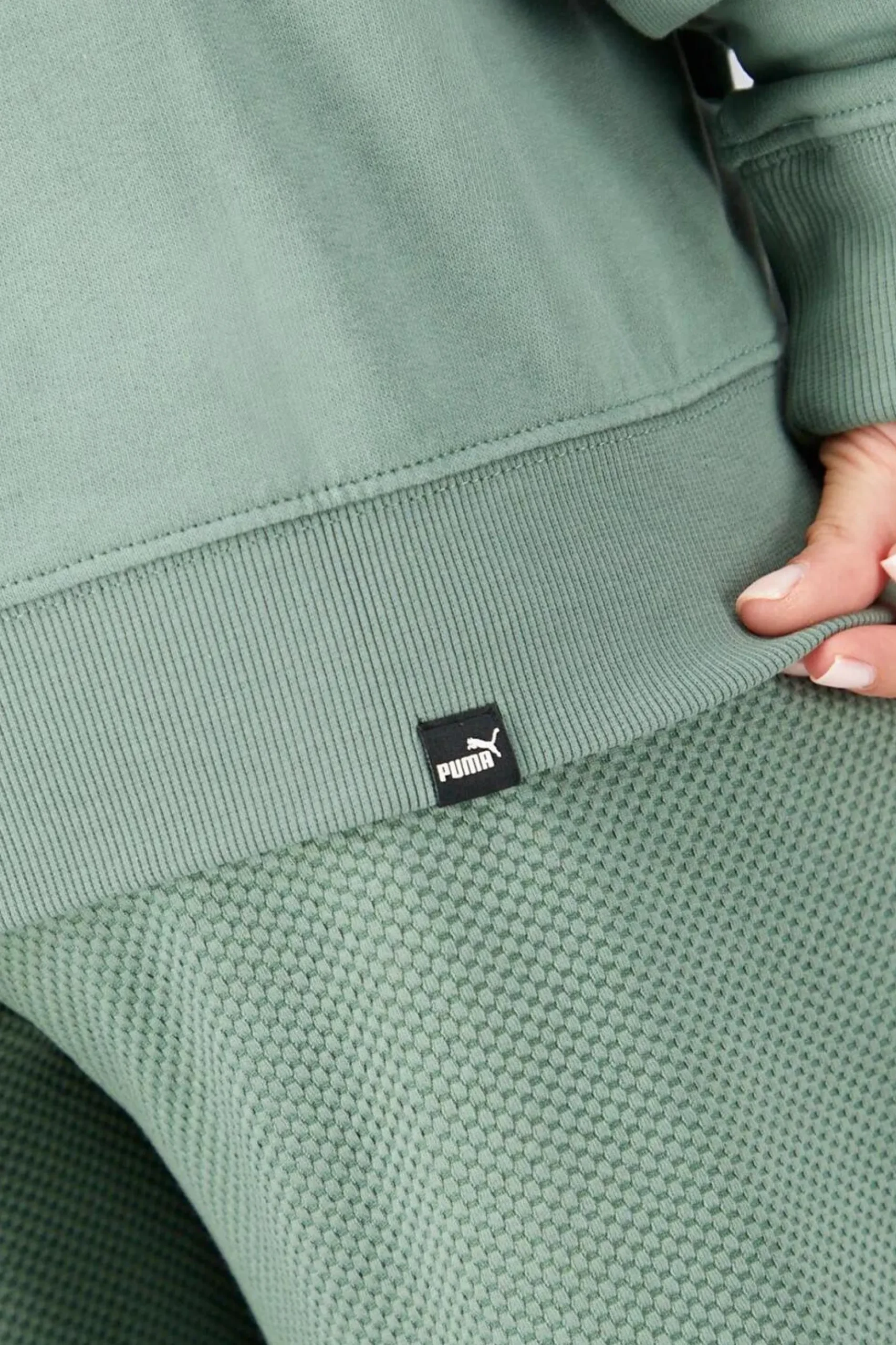 Puma Her
