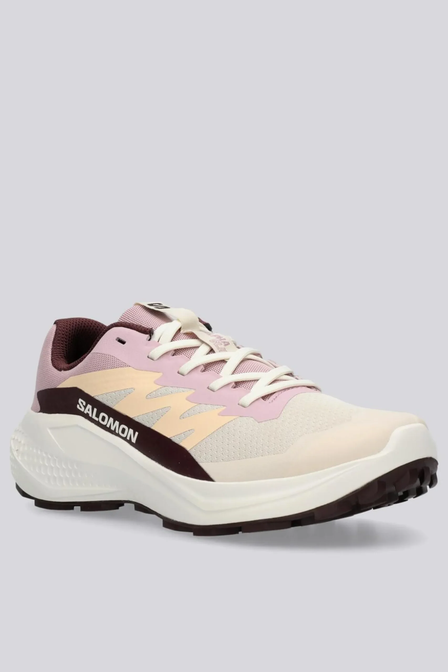 Salomon Alphaglide