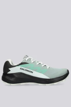 Salomon Alphaglide Gtx