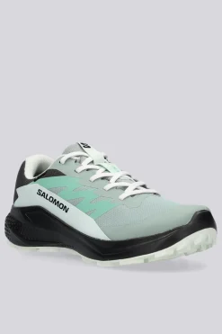 Salomon Alphaglide Gtx