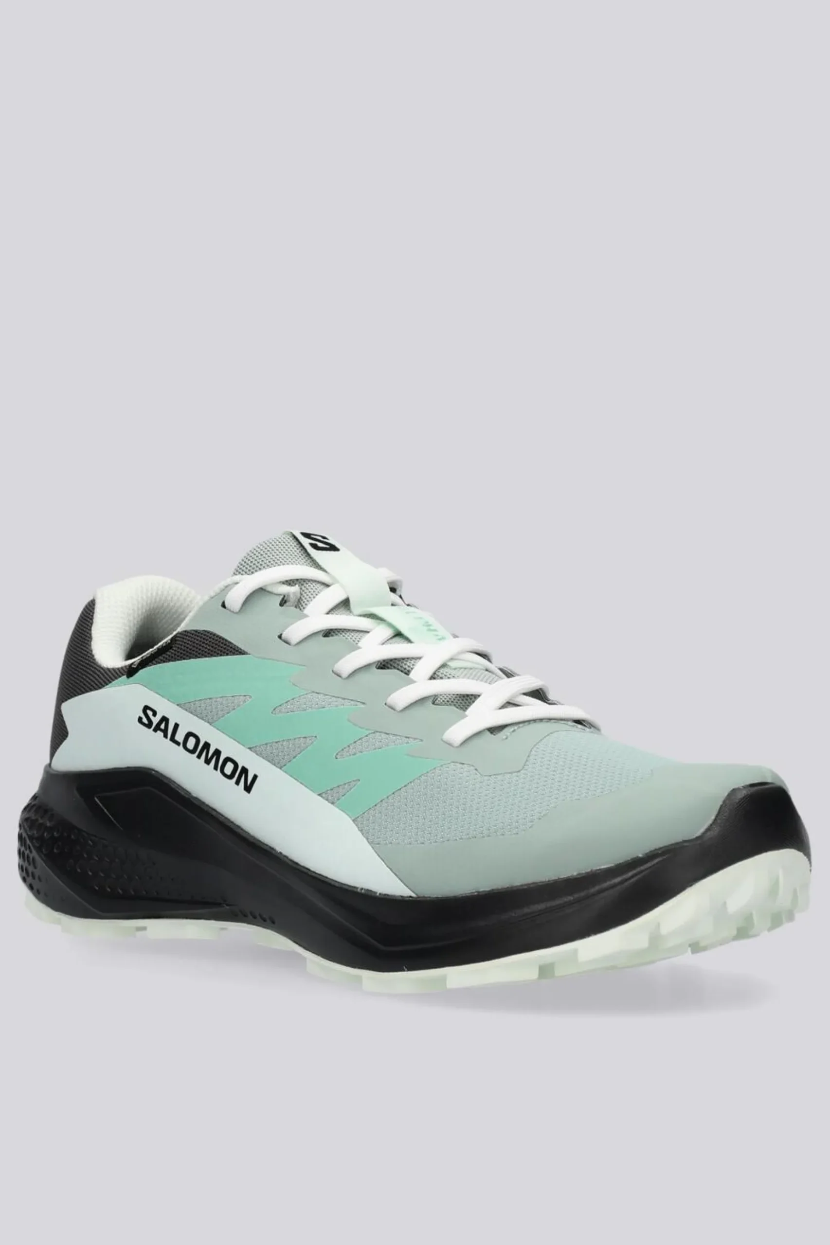 Salomon Alphaglide Gtx