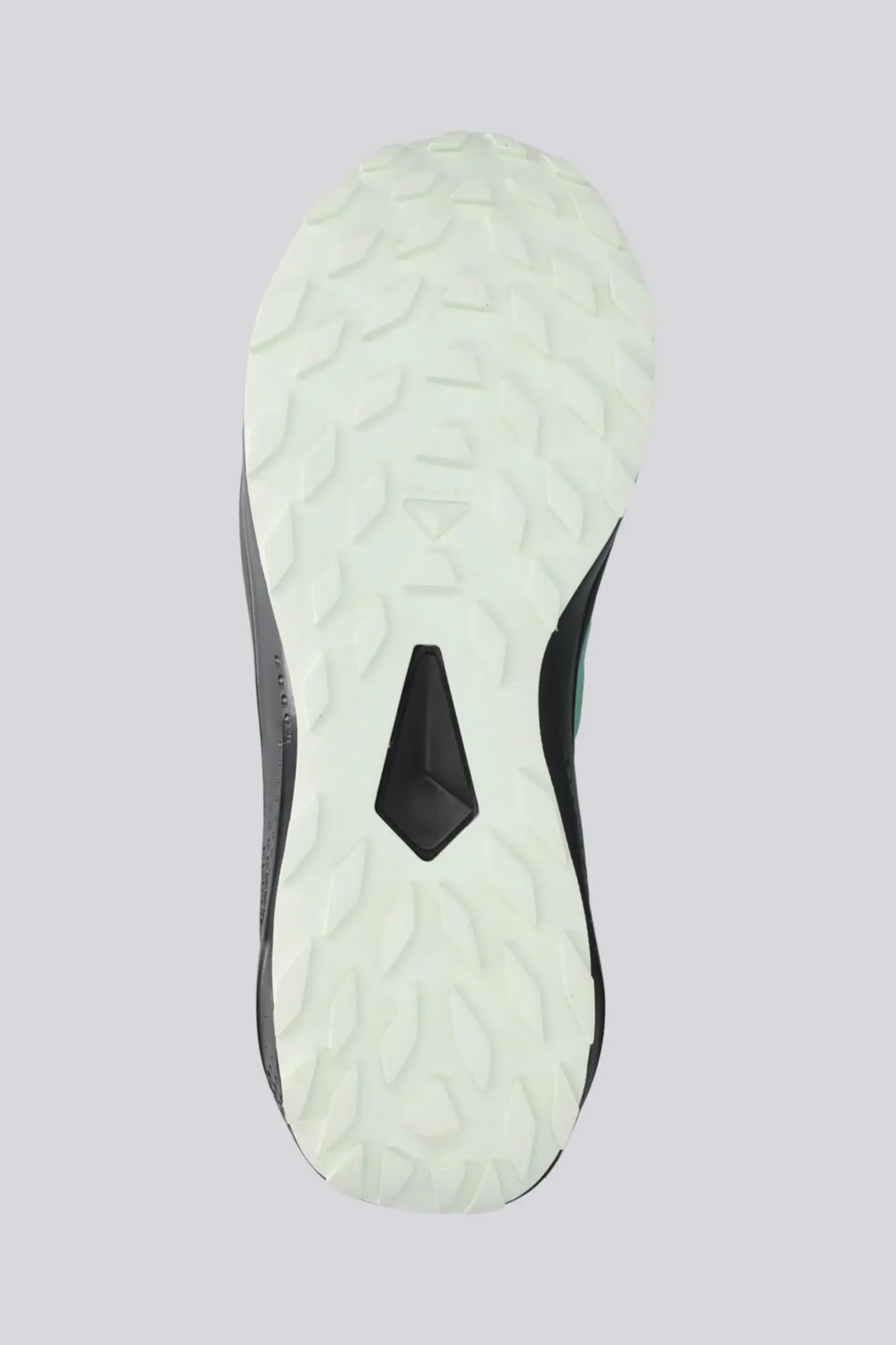 Salomon Alphaglide Gtx