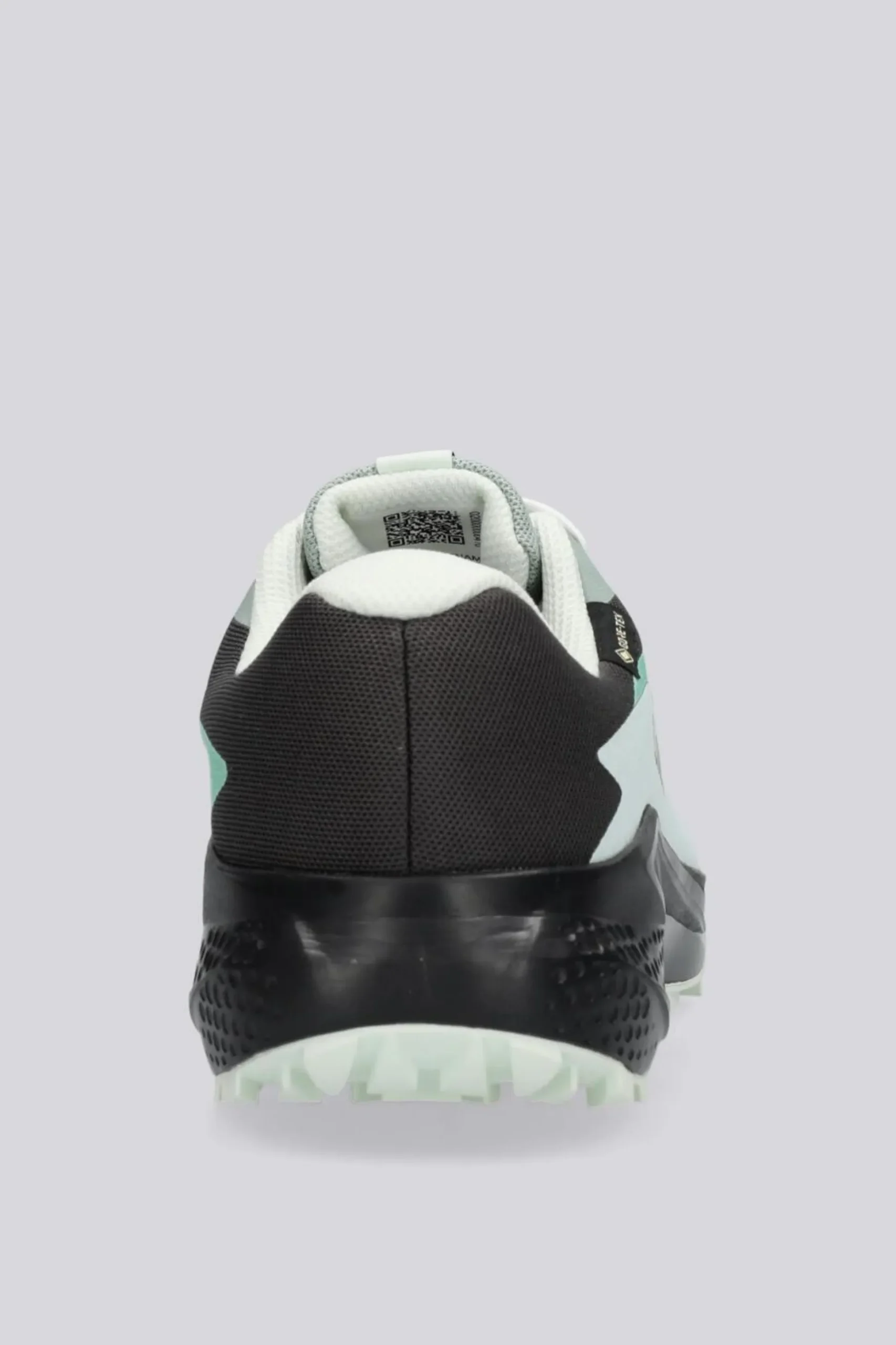 Salomon Alphaglide Gtx