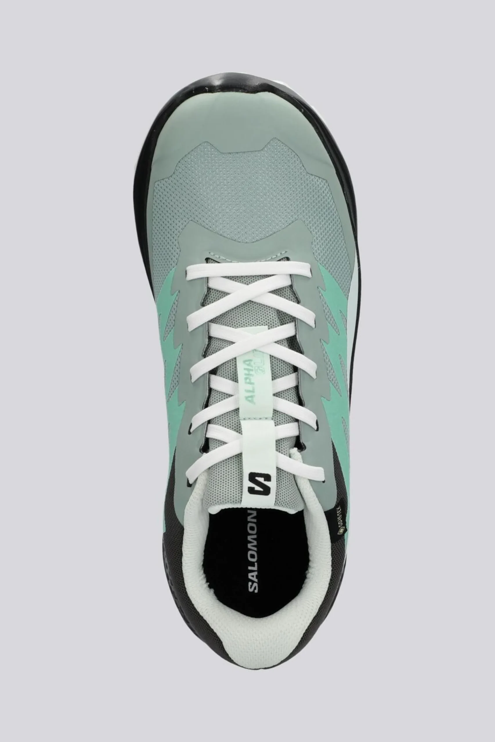 Salomon Alphaglide Gtx