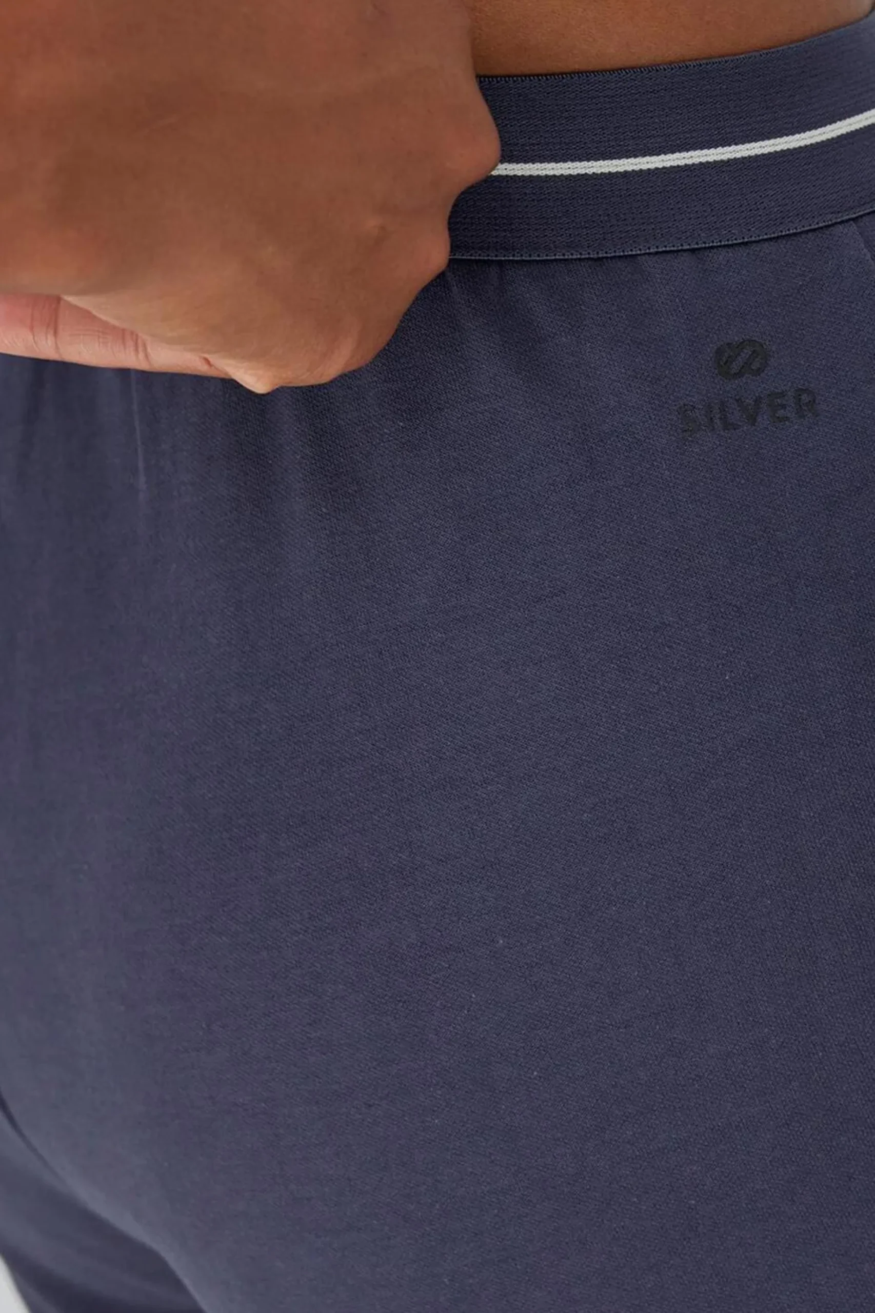 Silver Pursuit
