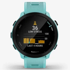 Smartwatch Garmin Forerunner 55