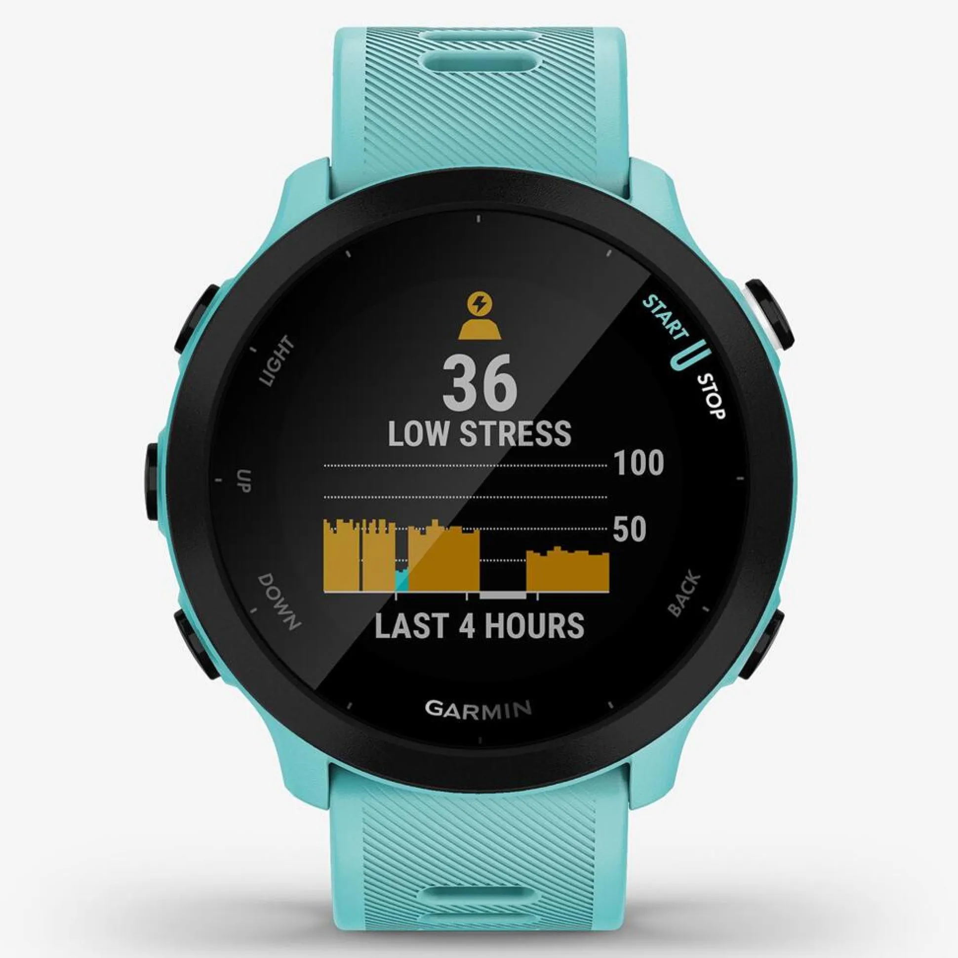 Smartwatch Garmin Forerunner 55