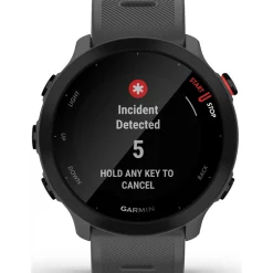 Smartwatch Garmin Forerunner 55