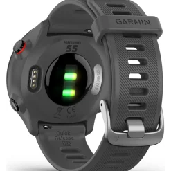 Smartwatch Garmin Forerunner 55